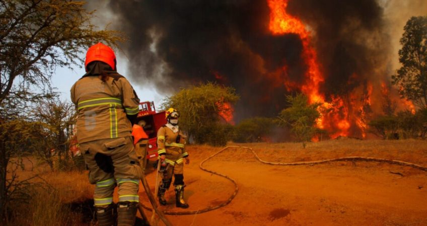 https://sabes.cl/2025/02/10/balance-2025-9-mil-hectareas-quemadas-dejan-los-incendios-forestales-los-ultimos-dias-en-chile/#google_vignette